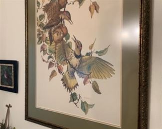 E Paxton Oliver Bird Print