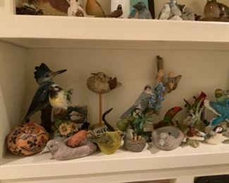 Fun Bird Collection
