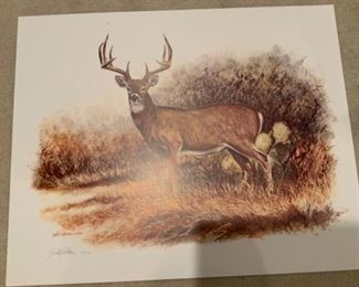 Gilbert Duran 631/1500 Deer Picture