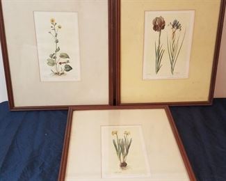 Spring Botanical Prints