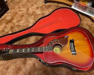 Global Guitar with Case