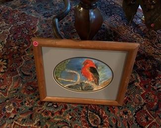 Bird picture - $5
