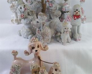 poodles with bows or flowers