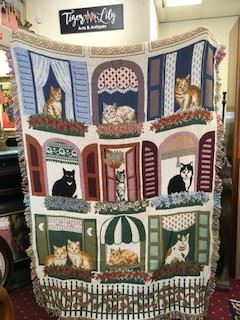 Nov30CatBlanket