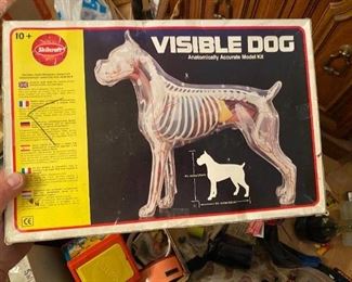 Visible Dog