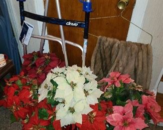 Poinsettias