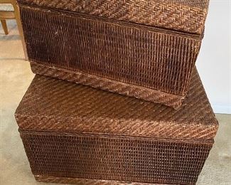 Rattan trunks