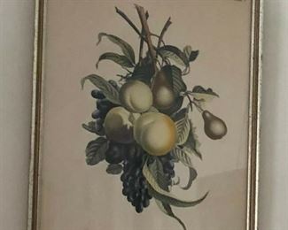 https://www.ebay.com/itm/124467489678	PR2074A Colored Print of Fruit, J. L. Prevost invenit, Ruotte Direxil Local Pick		 Buy-IT-Now 	 $20.00 
