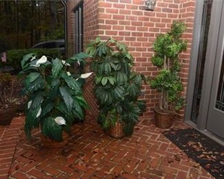 114. Three 3 Artificial Plants