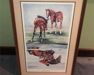 299. Dreams Of Wings signed And Framed