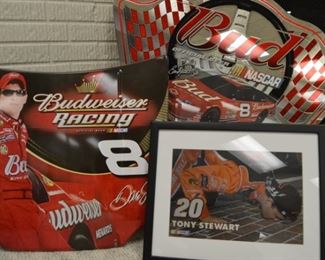 Dale Earnhardt, Tony Stewart