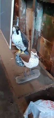 Decoys