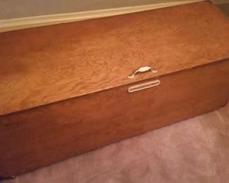 Trunk