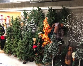 Many quality Christmas trees -- start your own forest.