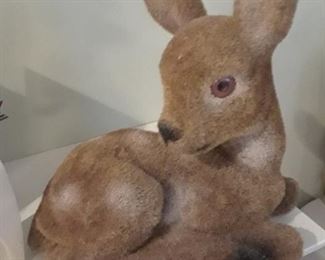 Fawn