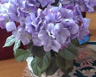 Potted hydrangeas