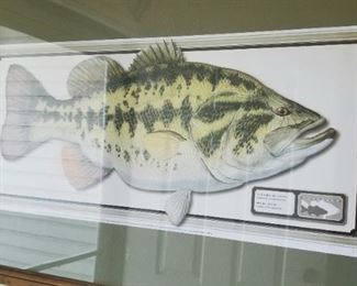 Fish art