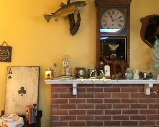Vintage finds, Home decor, taxidermy and collectibles 