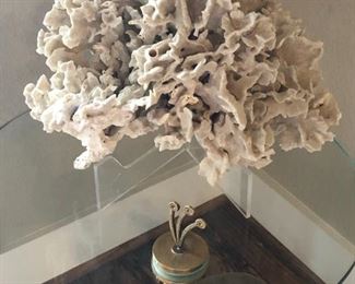 Natural white coral
