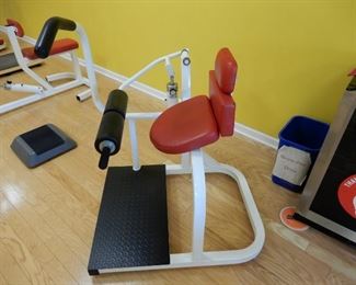 Lower Ab and Hip Flexor Machine. An amazing machine that works the lower Abs like no other. Strengthens muscles to protect the Hip Flexor.