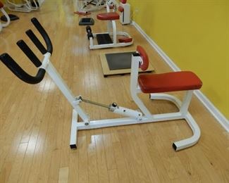 Rowing Machine works Bicep, Tricep, and Upper Traps and Delt muscles. There are 8 ways of working the rowing machine which changes the muscle involvement. A wonderful machine.