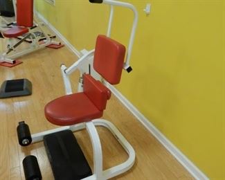 Upper Ab and Back Machine. Works the Upper Abdominal muscles and lower back.