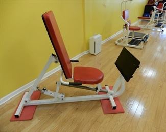 The Leg Press uses a persons body weight as well as the hydraulic for the leg resistance exercises. By changing the position of the legs and feet, you change the muscles being used. The smooth action protects the joints in the legs.