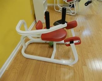 This machines works the oblique muscles. Called the Rotary Torso, the placement of the knee pads, and lower back pads work to stop the lower torso from moving and allows the waist/oblique muscles to get the appropriate work. The basic movement is good just the way it is, but the enhanced movements really gives the transverse obliques a good workout.