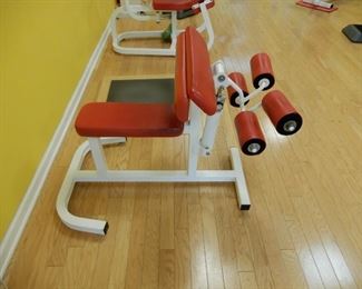 The Bicep/Tricep machines works those muscles in 8 different ways based on position of hands and arms.