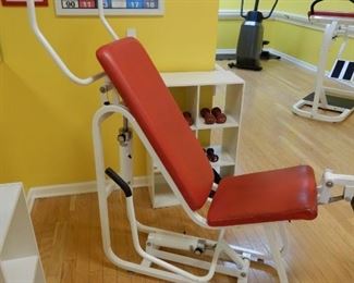 Shoulder Press, Chest Press and Quad Hamstring machine - 3 in 1.