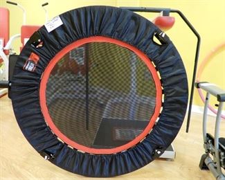 Rebounder with Safety handles.