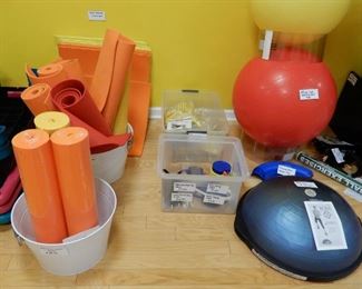 Mats, Stability balls, Bosu and other Balance Disks