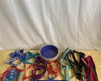 Dog Collars, Leashes, and More
