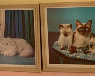 HALF OFF !  $10.00 NOW, WAS $20.00...................Vintage Cat Pictures 10 1/2" x 9" (P586)