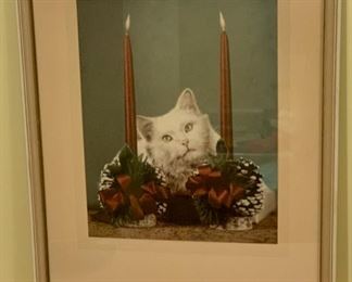 HALF OFF !  $5.00 NOW, WAS $10.00...................Vintage Cat Picture 12" x 16 1/2" (P606)