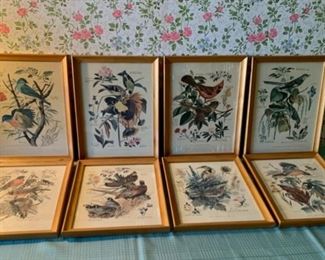 CLEARANCE  !  $10.00 NOW, WAS $40.00.................Set of 6 Framed Bird Prints 13" x 10" Set (P1050)