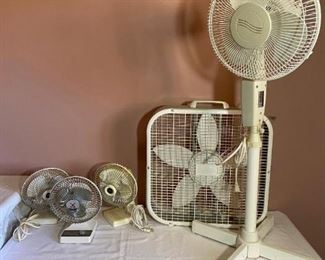 fans