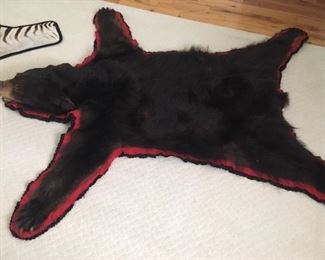 Black bear skin rug
