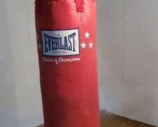 Everlast Punching Bag