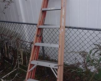 Tall Folding Ladder