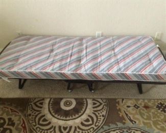 Fold out trundle bed