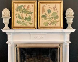 $150-Metal and brass Fireplace screen, 46X12X24. $100-Pair of framed botanical prints. 25X29. $30-Pair of Ceramic Topiaries. 21HX10W 