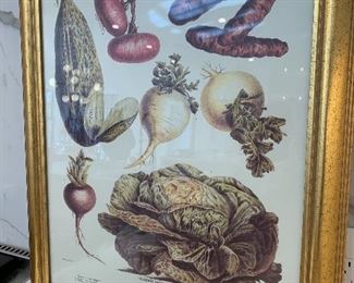 $100 Pair of Framed Vegetable Prints 19x23