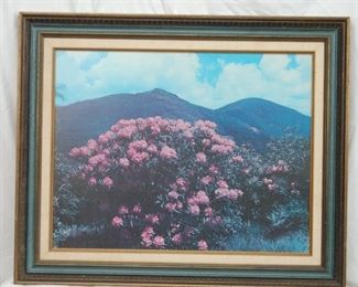 Rhododenron Print
