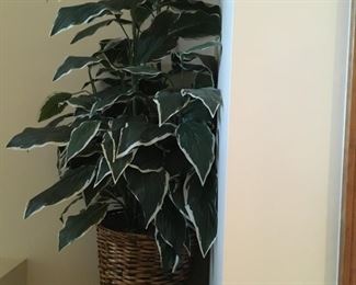 . . . a faux plant