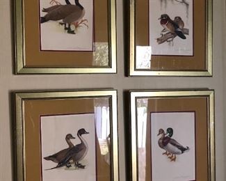 4 signed Menaboni duck prints 19"x14"