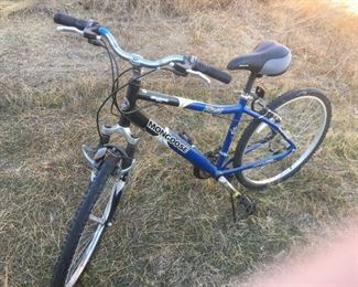 Shimano Mongoose Placid Bicycle