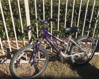 Shimano Roadmaster Element Bicycle
