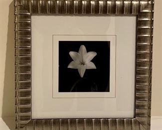 Item 91b:  Black & white "daffodil" with silver frame 15" x 15":  $16
