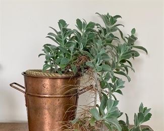 Item 266:  Copper Planter with Plant - 8": $16